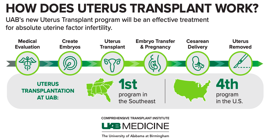How does uterus transplant work