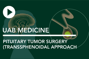 Pituitary Tumor Surgery (Transsphenoidal Approach)