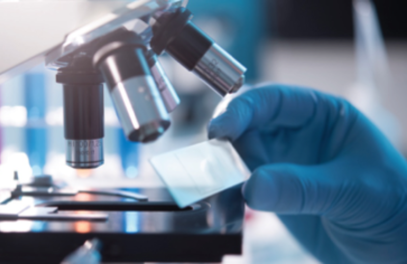  Histocompatibility Testing For The Xenotransplant Study