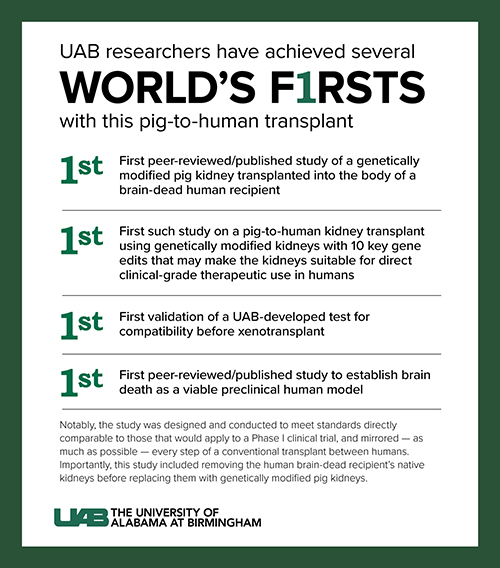 UAB Announces First Clinical-grade Transplant of Gene-edited Pig Kidneys into Brain-dead Human