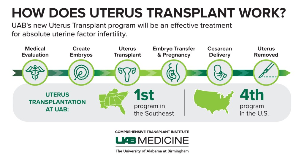 How does uterus transplant work?
