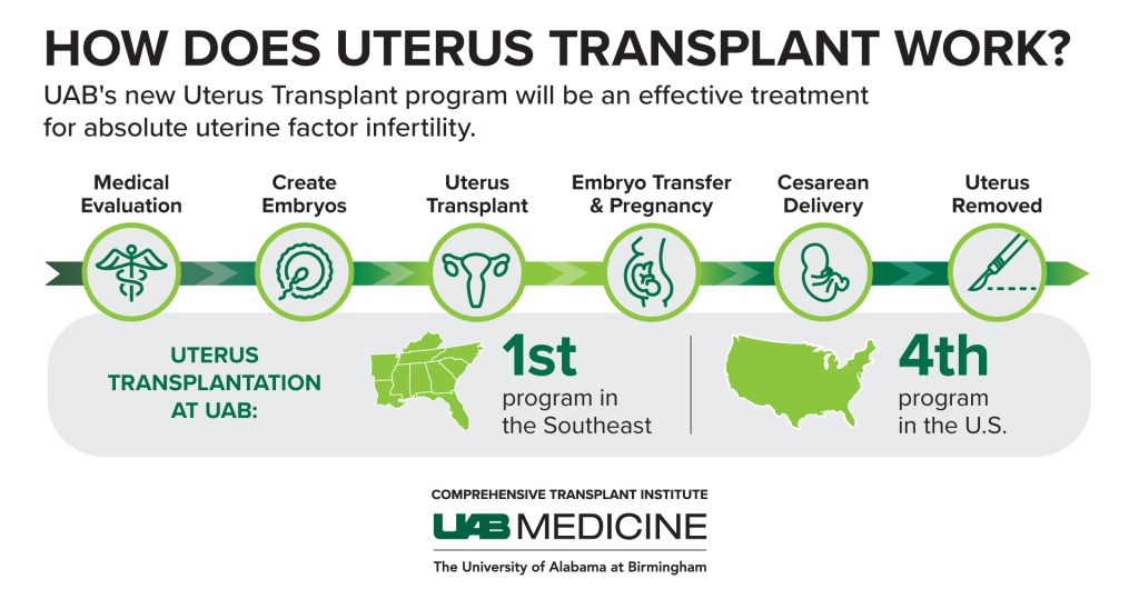  UAB establishes uterus transplant program