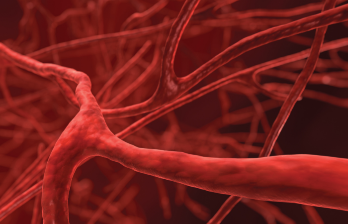 Red animation of veins