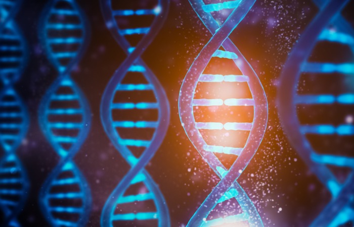  State License Now Required for Genetic Counselors in Alabama