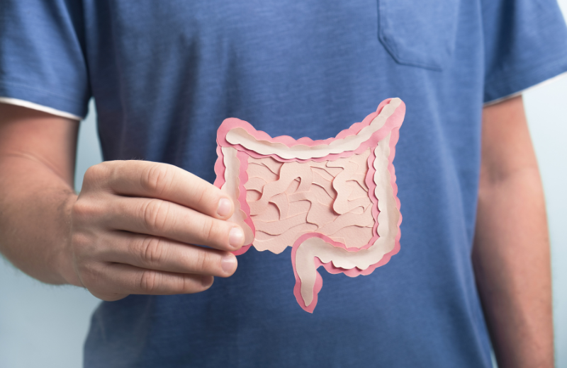 Biome and good bacteria: what you need to know about gut health
