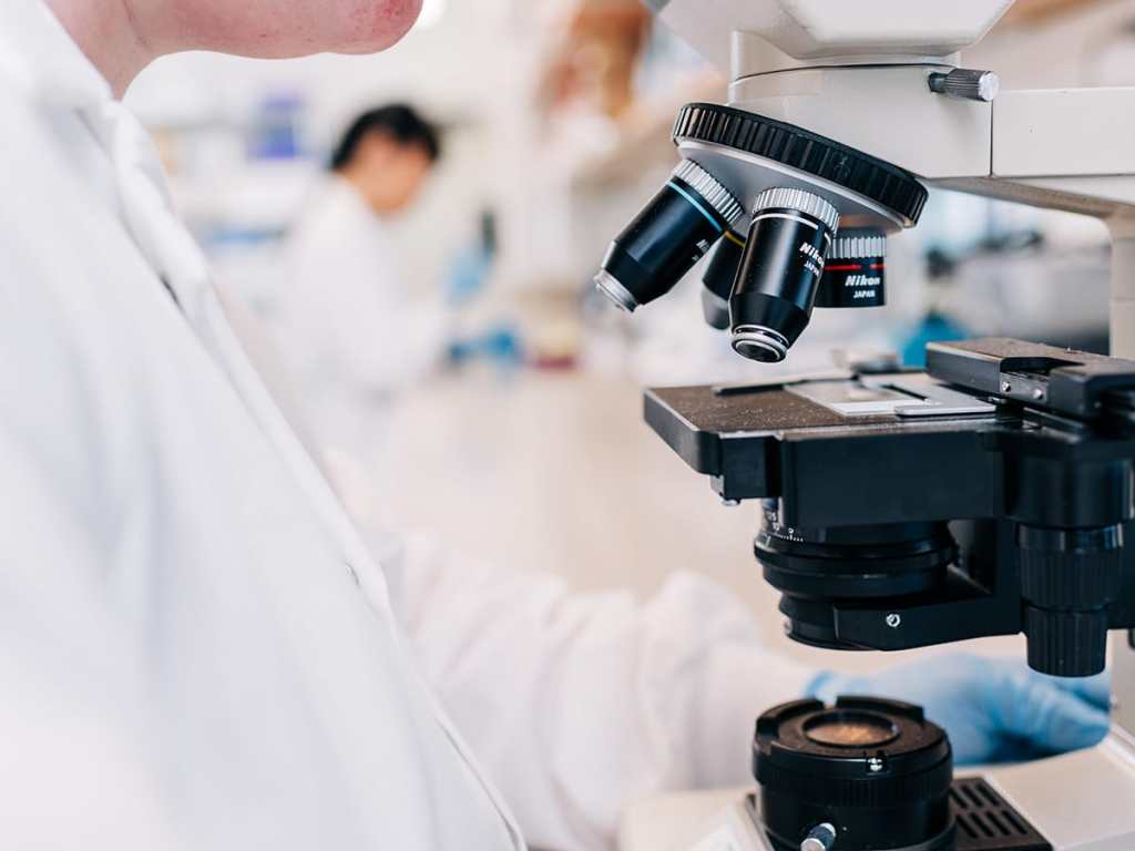 Understanding the link between obesity, fatty liver disease and kidney stones provides a new perspective on prevention and potential treatment.