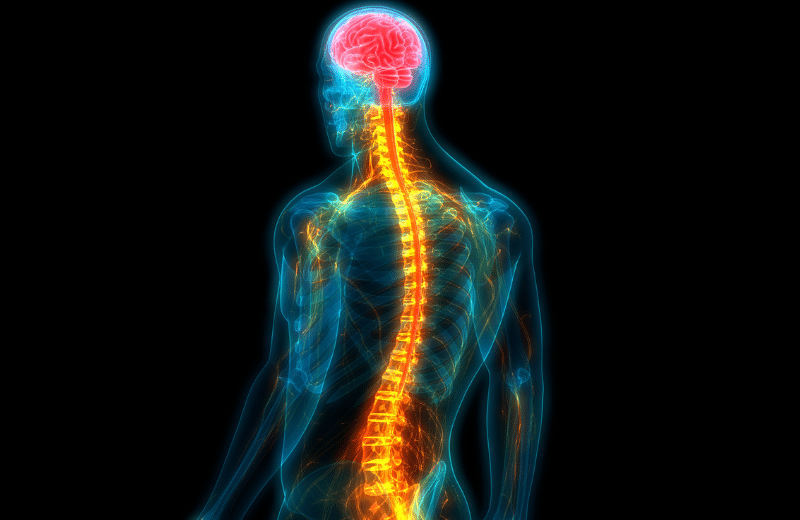 Neuro and spine program ranked among nation’s best