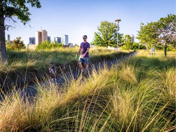 man walking a dog in railroad park 