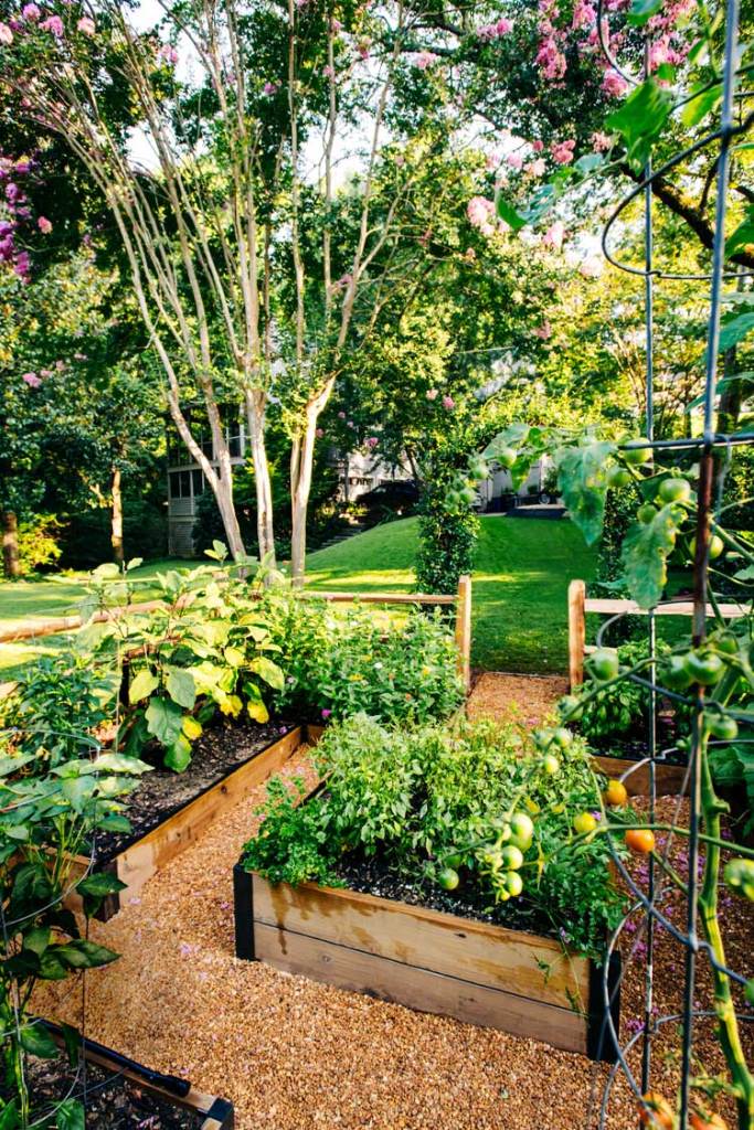 Crawford Downs backyard garden