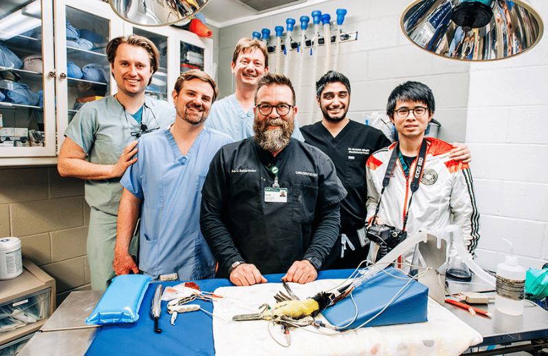 Aracari Care Team